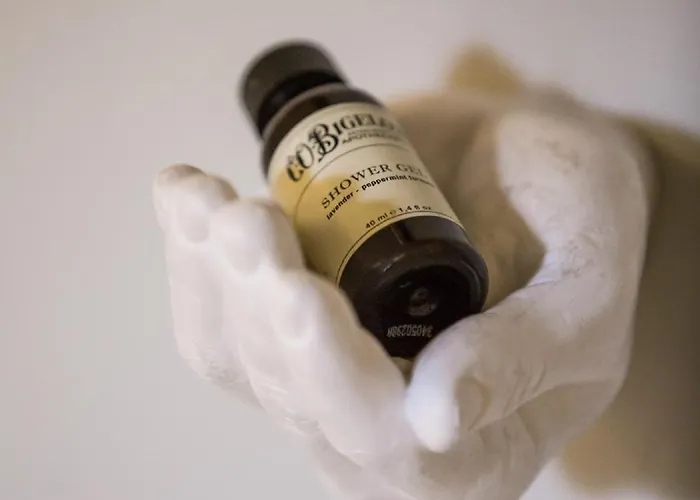 Bed & Breakfast Adastra 4*